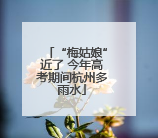 “梅姑娘”近了 今年高考期间杭州多雨水