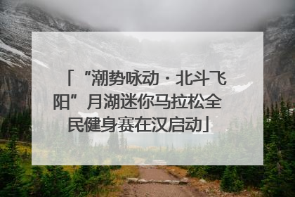 “潮势咏动・北斗飞阳”月湖迷你马拉松全民健身赛在汉启动
