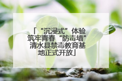 “沉浸式”体验 筑牢青春“防毒墙” 清水县禁毒教育基地正式开放