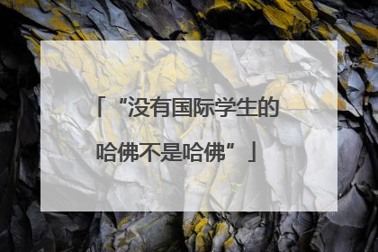 “没有国际学生的哈佛不是哈佛”