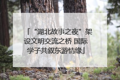 “湖北故事之夜”架设文明交流之桥 国际学子共叙东游情缘