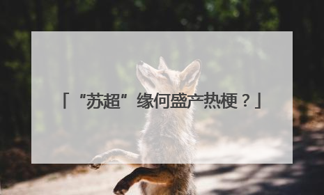 “苏超”缘何盛产热梗？