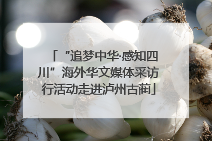 “追梦中华·感知四川”海外华文媒体采访行活动走进泸州古蔺