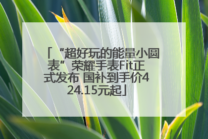 “超好玩的能量小圆表”荣耀手表Fit正式发布 国补到手价424.15元起
