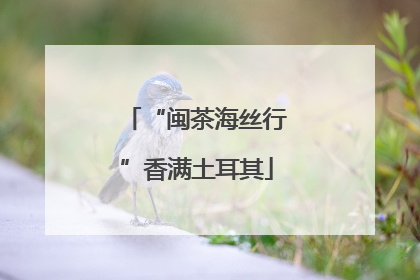 “闽茶海丝行”香满土耳其