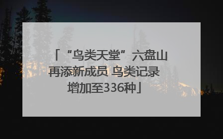 “鸟类天堂”六盘山再添新成员 鸟类记录增加至336种