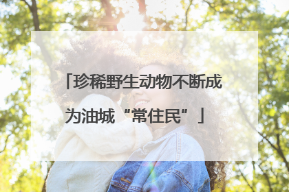 珍稀野生动物不断成为油城“常住民”