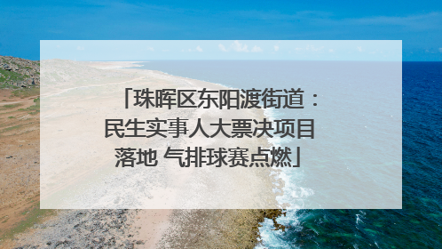 珠晖区东阳渡街道：民生实事人大票决项目落地 气排球赛点燃