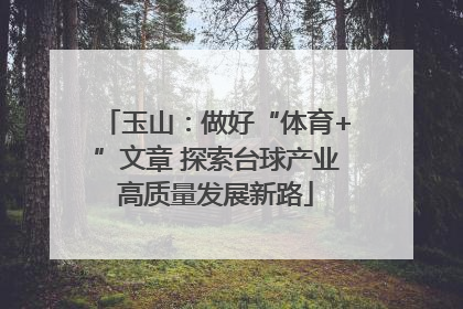 玉山：做好“体育+”文章 探索台球产业高质量发展新路