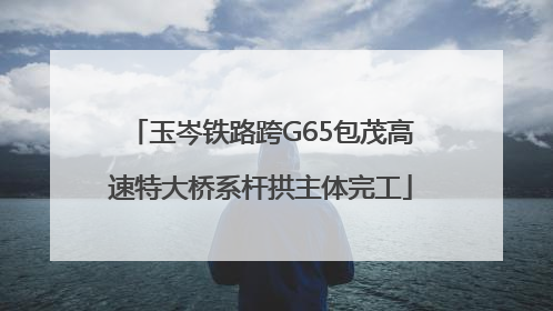 玉岑铁路跨G65包茂高速特大桥系杆拱主体完工
