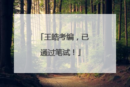 王皓考编，已通过笔试！