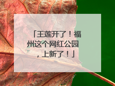 王莲开了！福州这个网红公园，上新了！