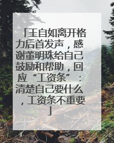 王自如离开格力后首发声，感谢董明珠给自己鼓励和帮助，回应“工资条”：清楚自己要什么，工资条不重要