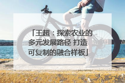 王超：探索农业的多元发展路径 打造可复制的融合样板