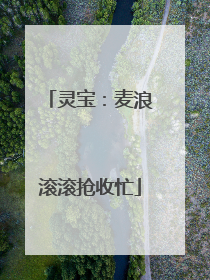 灵宝：麦浪滚滚抢收忙