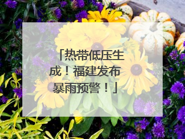 热带低压生成！福建发布暴雨预警！