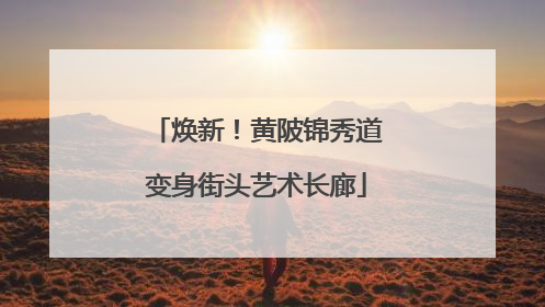 焕新！黄陂锦秀道变身街头艺术长廊