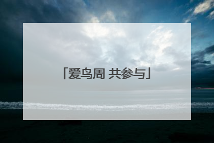 爱鸟周 共参与