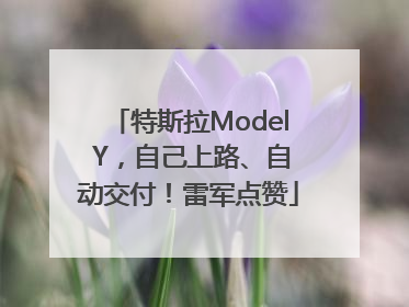 特斯拉Model Y，自己上路、自动交付！雷军点赞