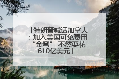 特朗普喊话加拿大：加入美国可免费用“金穹” 不然要花610亿美元