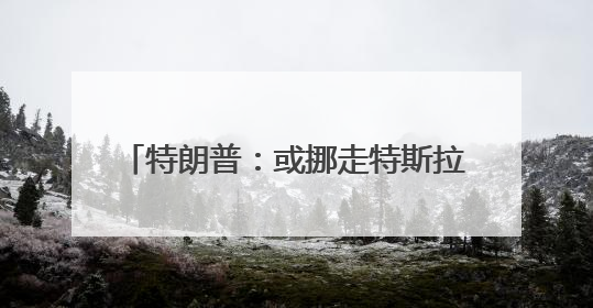 特朗普：或挪走特斯拉 但还会用“星链”