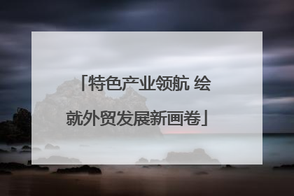 特色产业领航 绘就外贸发展新画卷