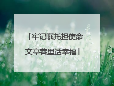 牢记嘱托担使命 文亭巷里话幸福