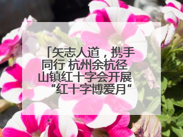 矢志人道，携手同行 杭州余杭径山镇红十字会开展“红十字博爱月”系列活动