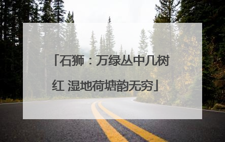 石狮：万绿丛中几树红 湿地荷塘韵无穷