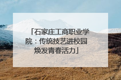 石家庄工商职业学院：传统技艺进校园焕发青春活力