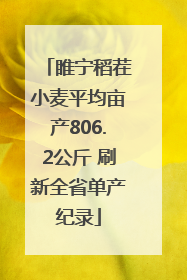 睢宁稻茬小麦平均亩产806.2公斤 刷新全省单产纪录