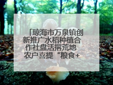 琼海市万泉镇创新推广水稻种植合作社盘活撂荒地 农户喜提“粮食+钞票”分红