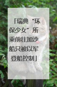 瑞典“环保少女”所乘前往加沙船只被以军登船控制