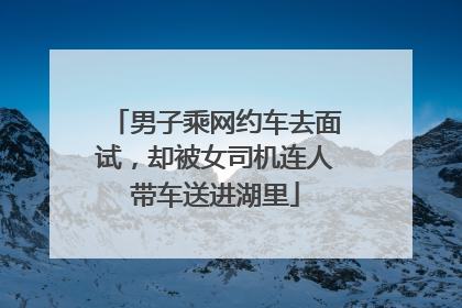男子乘网约车去面试，却被女司机连人带车送进湖里