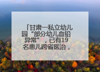 甘肃一私立幼儿园“部分幼儿血铅异常”，已有19名患儿跨省医治，家长发声：以为孩子出问题，没想过会与学校有关