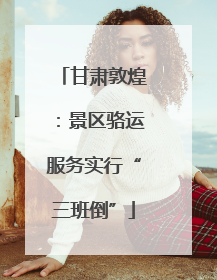 甘肃敦煌：景区骆运服务实行“三班倒”