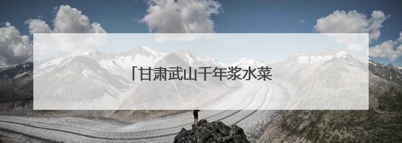甘肃武山千年浆水菜“科技焕新”走全国