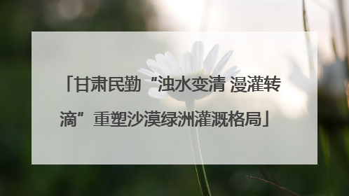 甘肃民勤“浊水变清 漫灌转滴”重塑沙漠绿洲灌溉格局