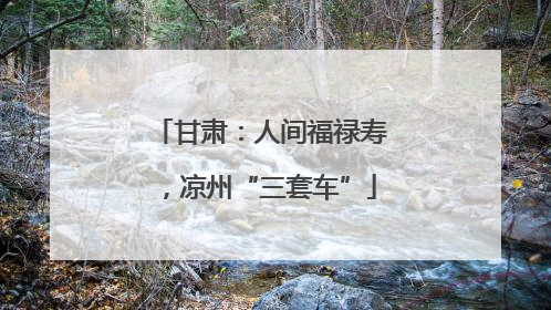 甘肃：人间福禄寿，凉州“三套车”