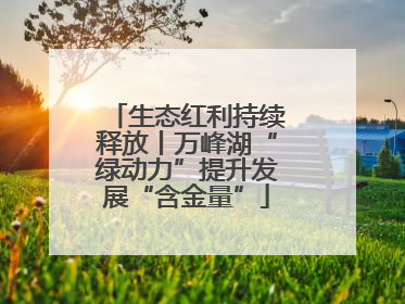 生态红利持续释放丨万峰湖“绿动力”提升发展“含金量”