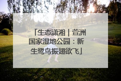 生态潇湘｜萱洲国家湿地公园：新生鹭鸟振翅欲飞