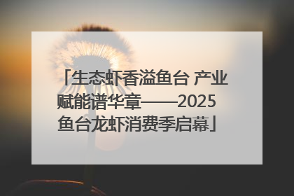 生态虾香溢鱼台 产业赋能谱华章——2025鱼台龙虾消费季启幕