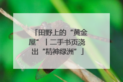 田野上的“黄金屋”丨二手书页浇出“精神绿洲”