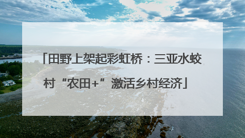 田野上架起彩虹桥：三亚水蛟村“农田+”激活乡村经济