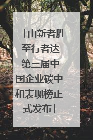 由新者胜 至行者达 第三届中国企业碳中和表现榜正式发布