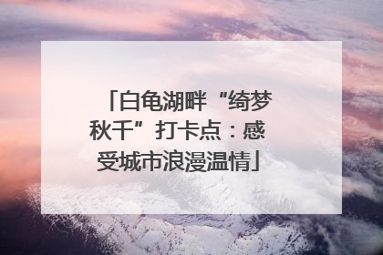 白龟湖畔“绮梦秋千”打卡点：感受城市浪漫温情