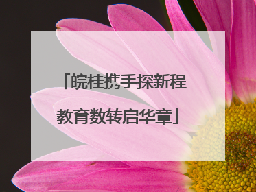 皖桂携手探新程 教育数转启华章
