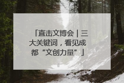 直击文博会｜三大关键词，看见成都“文创力量”