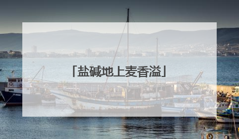 盐碱地上麦香溢