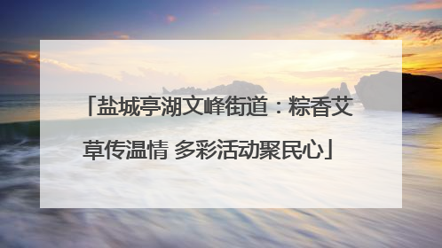 盐城亭湖文峰街道：粽香艾草传温情 多彩活动聚民心